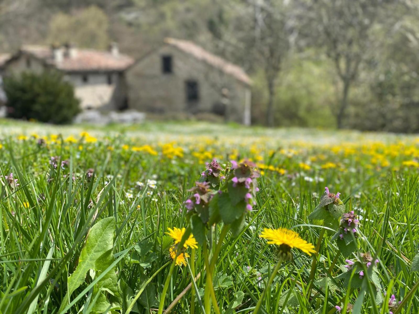 Borgo Corniola B&B Naturista 마라디 외부 사진