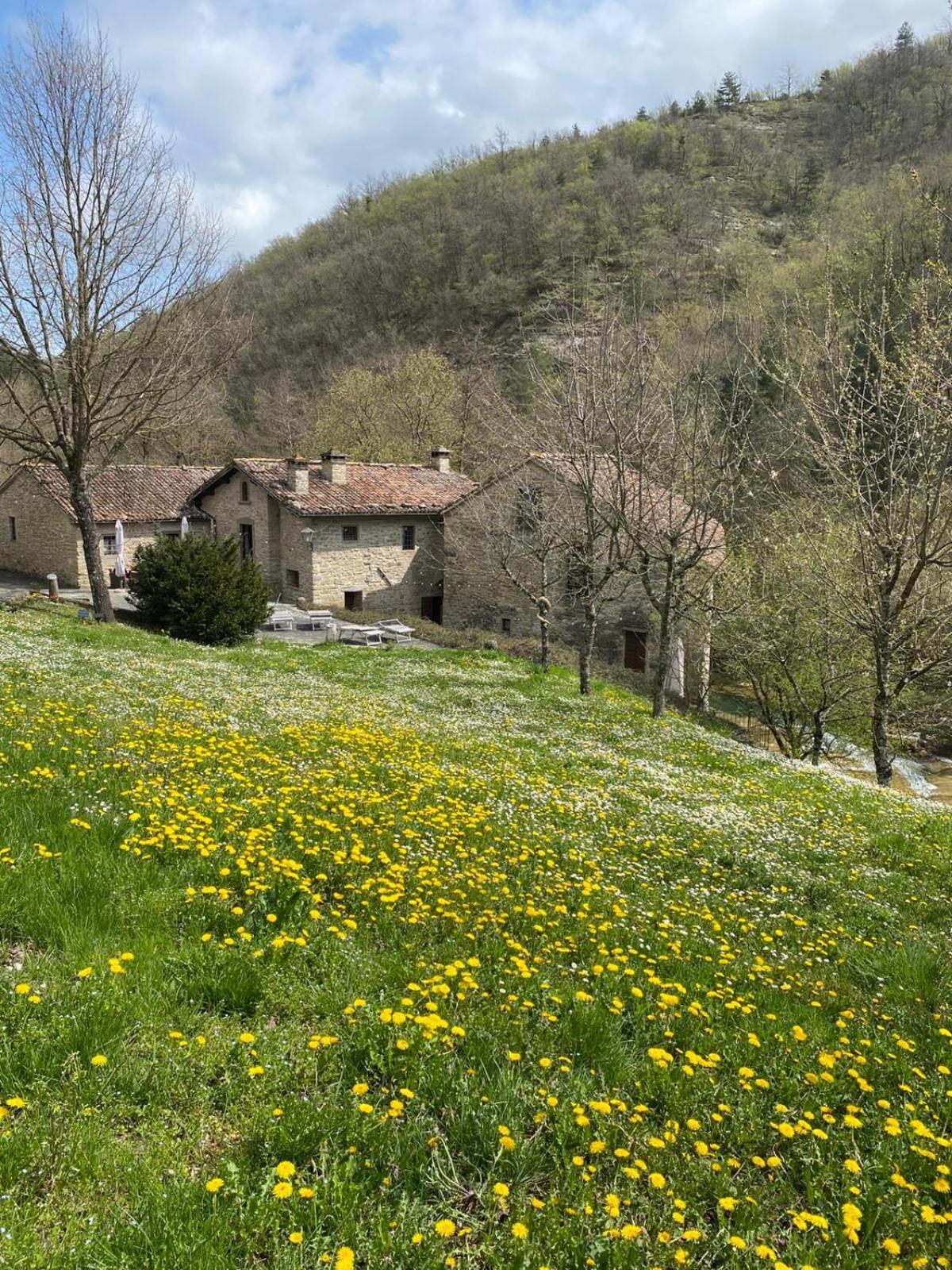 Borgo Corniola B&B Naturista 마라디 외부 사진